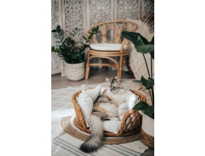 HUAN