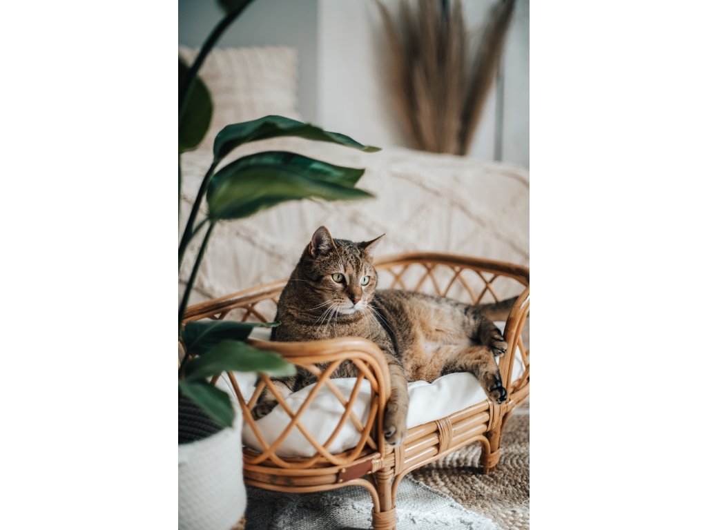 MING