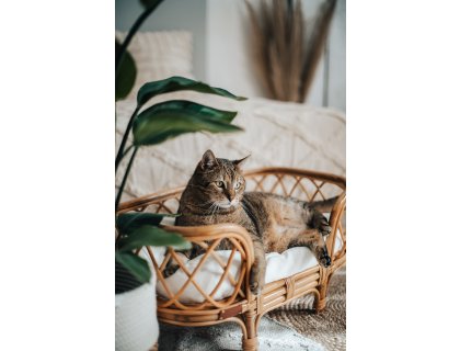 MING