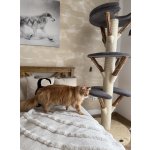 Kočičístromy MiniBUBI - šedý manšester - PŘENOSNÉ KOČIČÍ ŠKRABADLO