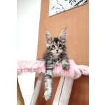 Kočičístromy LADY PINK (potah růžová kožešinka) - PŘENOSNÉ KOČIČÍ ŠKRABADLO